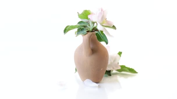 Tavasz rózsaszín alma fa virágok agyag vázában — Stock videók
