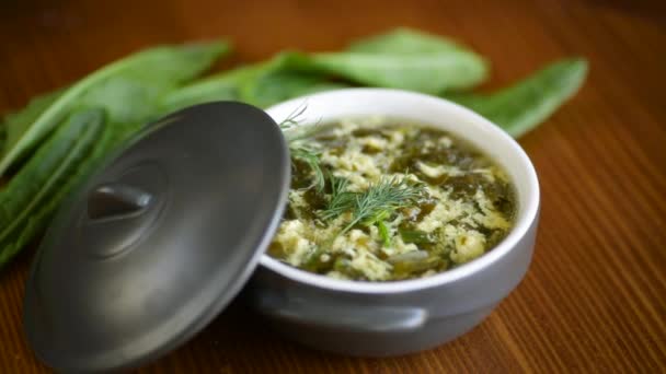 Sopa orgánica de primavera fresca con acedera verde y huevo en un plato — Vídeos de Stock