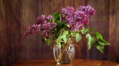 Cam bir vazoda çiçek açan leylaklar.