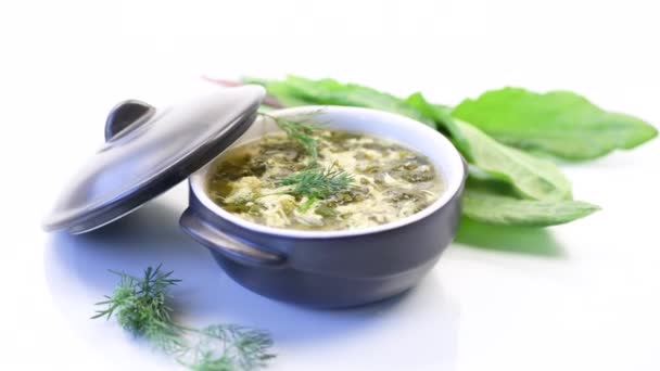 Zuppa fresca di primavera biologica con acetosa verde e uovo in un piatto — Video Stock