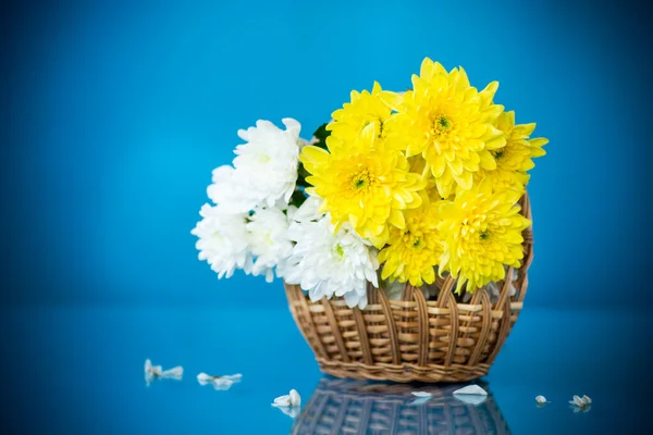 Ramo Crisantemos Blancos Con Una Tarjeta Felicitación Para Mamá Sobre —  Fotos de Stock