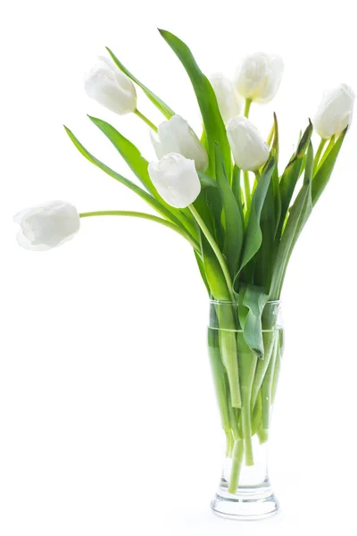 Beau Bouquet Tulipes Blanches Isolées Sur Fond Blanc — Photo