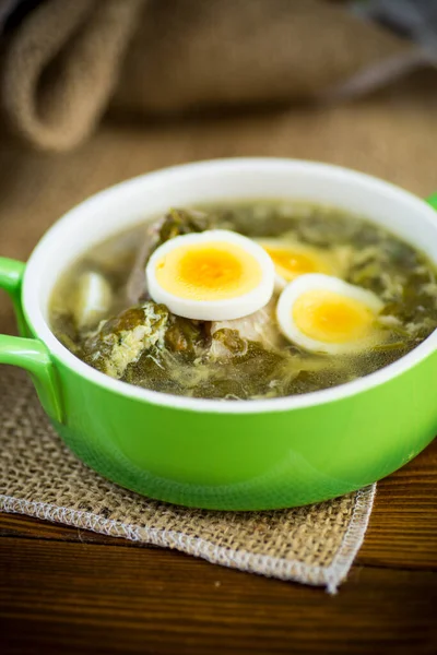 Färska Våren Ekologisk Soppa Med Grön Sorrel Och Ägg Tallrik — Stockfoto