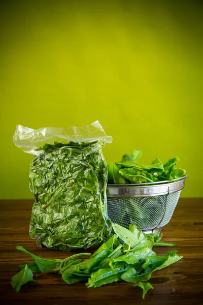 Acedera Verde Fresca Una Bolsa Vacío Colador Sobre Una Mesa — Foto de Stock