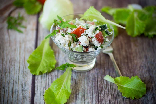 Insalata Ricotta Fresca Con Cetrioli Pomodori Con Erbe Aromatiche Una — Foto Stock