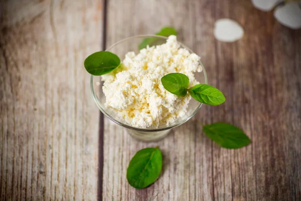 Fresh Organic Homemade Cottage Cheese Glass Bowl Wooden Table — Stock Photo, Image