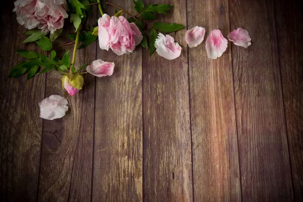 Tahta Bir Masanın Üzerinde Taç Yaprakları Olan Güzel Pembe Şakayıklar — Stok fotoğraf