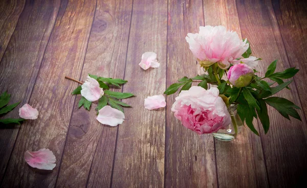 Piękne Różowe Kwitnące Piwonie Płatkami Drewnianym Stole — Zdjęcie stockowe