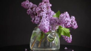 Bir demet güzel bahar çiçekleri siyah bir leylak üzerinde