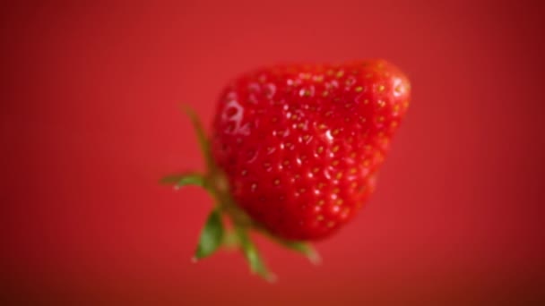 Jedna červená zralé jahody na červeném pozadí — Stock video