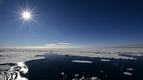 Voile à travers la glace de mer dans l'Arctique — Video