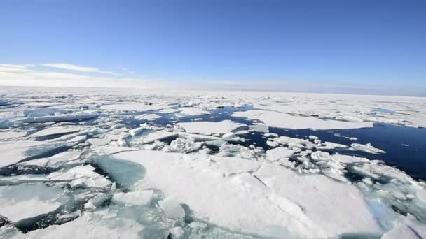 Seglen genom havsisen i Arktis — Stockvideo