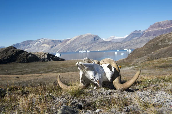 그린란드의 마운틴 뷰 — 스톡 사진