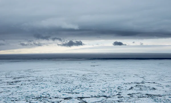 Rompehielos en el hielo — Foto de Stock