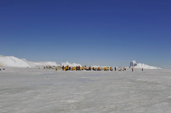 Belle vue sur les icebergs Snow Hill Antarctique — Photo