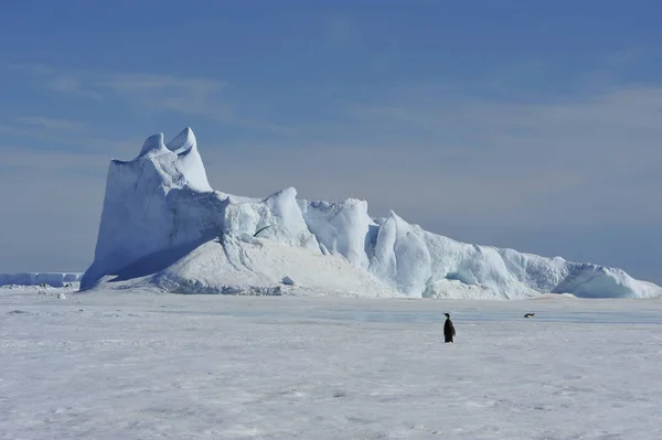 Hermosa vista de los icebergs Snow Hill Antarctica —  Fotos de Stock