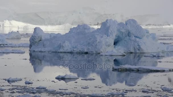 Красивый вид на айсберги в Антарктиде — стоковое видео