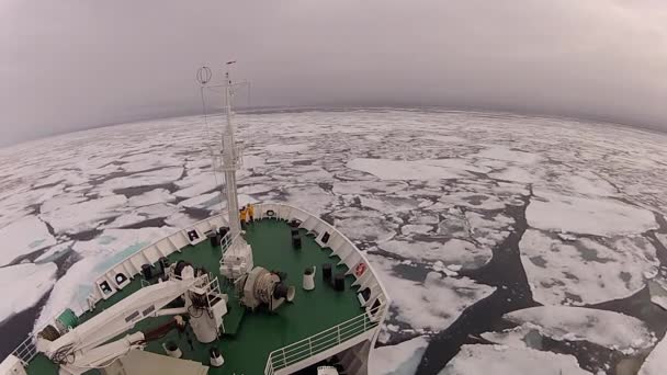 Travel In the ice , Arctic — Stock Video