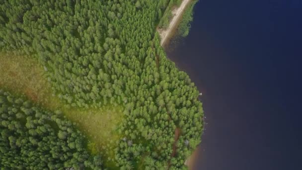 Imágenes Arial de archivos verdes cerca de un lago — Vídeos de Stock