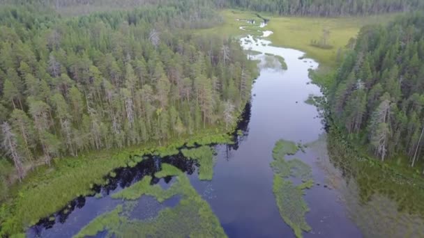 Paisagem rural típica russa aérea — Vídeo de Stock