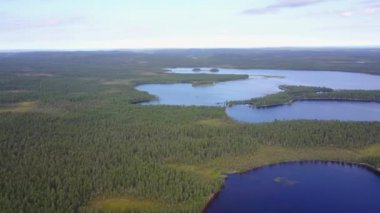 Bir göl yakınında yeşil alanlarda Arial görüntüleri