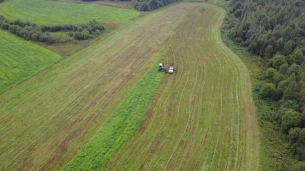 El tractor en el campo corta la hierba . — Vídeos de Stock