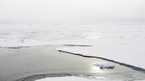 Подорож в льодах Арктики — стокове відео