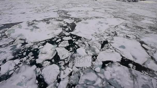 Путешествие по льду, Арктика — стоковое видео