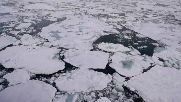 Подорож в льодах Арктики — стокове відео
