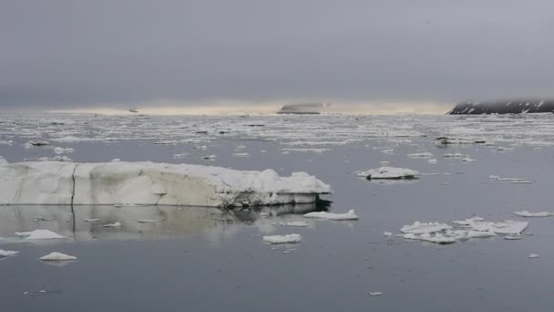 Franz-Josef Land paesaggio — Video Stock