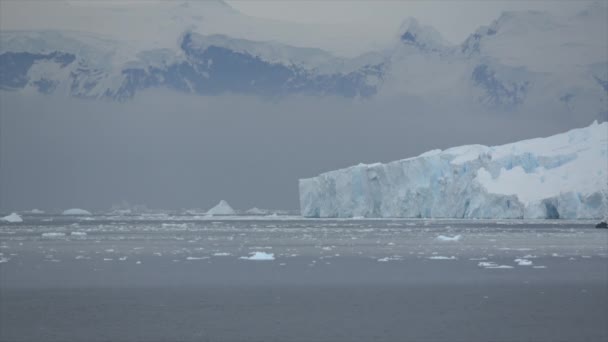 Antarktika 'daki buzdağlarının güzel manzarası — Stok video