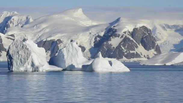 Bella vista degli iceberg in Antartide — Video Stock