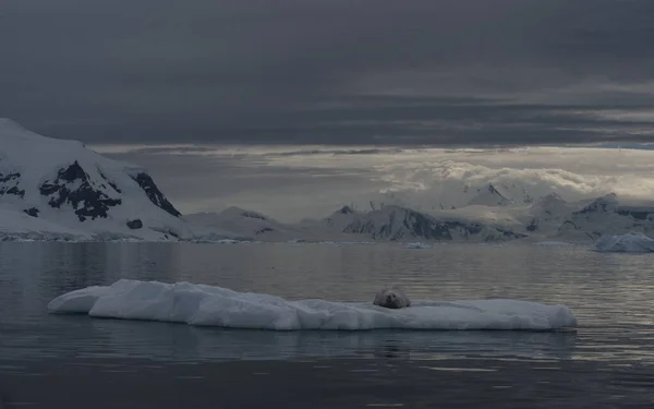 Vue sur la montagne vue béatifique coucher de soleil en Antarctique — Photo