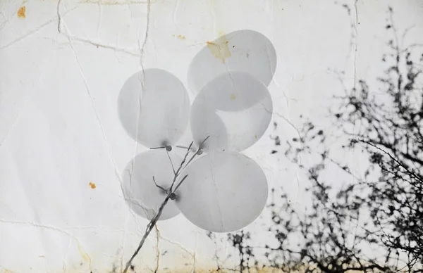 Vita ballonger på blå himmel — Stockfoto