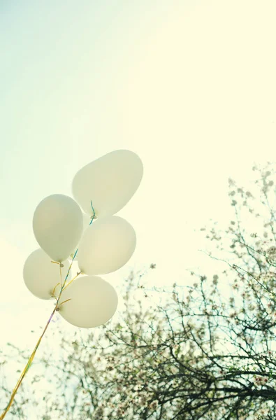 Witte ballonnen op blauwe hemel — Stockfoto