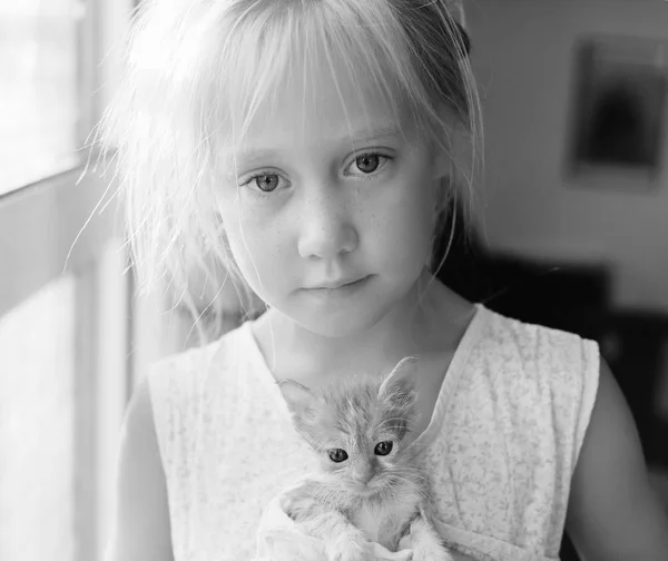 Little girl with cute kitten — Stock Photo, Image