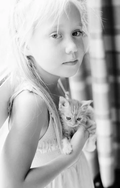 Şirin kedi yavrusu ile küçük kız — Stok fotoğraf