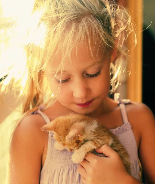 Men is holding little red kitten — Stock Photo, Image