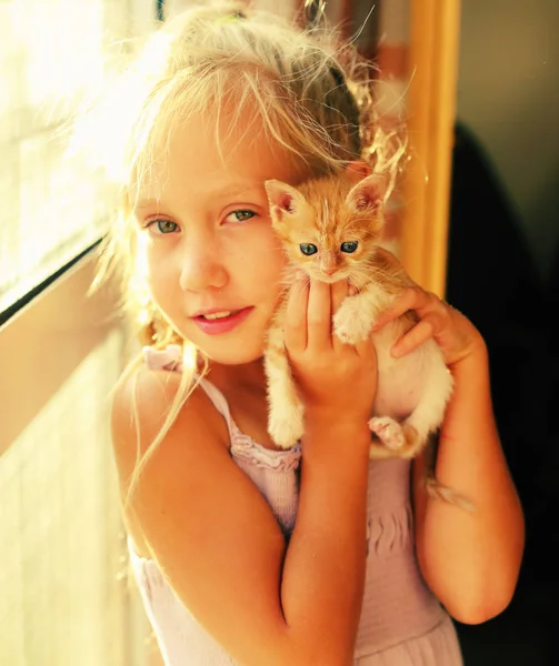 Men is holding little red kitten — Stock Photo, Image