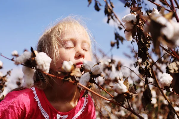 Retrato Uma Menina Adorável Livre Campo Algodão — Fotografia de Stock