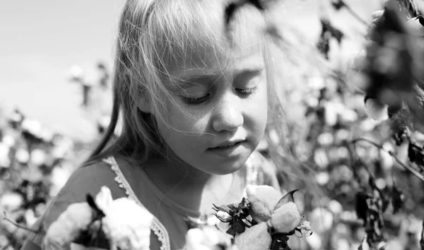 Black White Portrait Adorable Little Girl Outdoors Cotton Field — Stock Photo, Image
