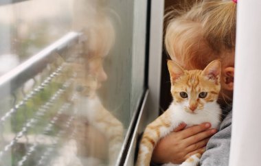 Pencerenin yanında yavru kedi ile sevimli bir küçük kız portresi