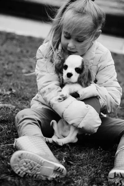 年の古い女の子を公園で子犬と歩いています — ストック写真