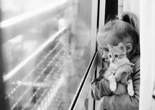 Portrait Adorable Little Girl Kitten Window — Stock Photo, Image