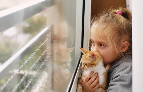 Porträtt Bedårande Liten Flicka Med Kattunge Nära Fönstret — Stockfoto
