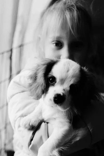 Years Olf Girl Holding Cute Puppy — Stock Photo, Image