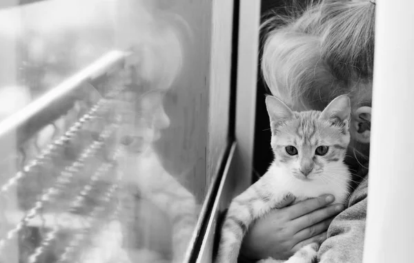 Pencerenin Yanında Yavru Kedi Ile Sevimli Bir Küçük Kız Portresi — Stok fotoğraf