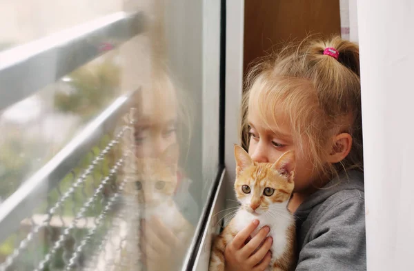 窓の近くの子猫の愛らしい少女の肖像画 — ストック写真