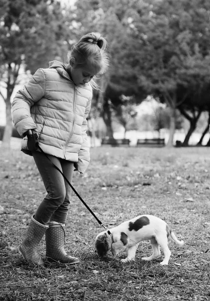 年の古い女の子を公園で子犬と歩いています — ストック写真