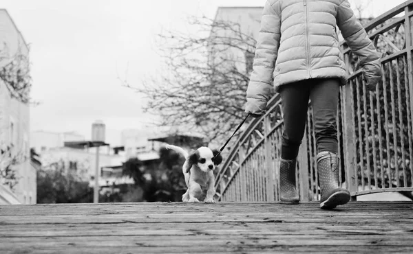 Ans Fille Marche Avec Chiot Dans Parc — Photo